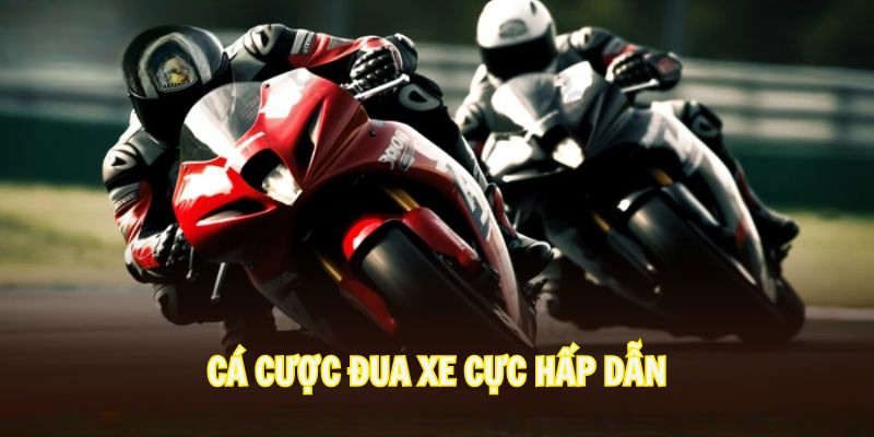 Thể Thao NEXTBET – Khám Phá Trò Chơi, Làm Giàu Cực Dễ